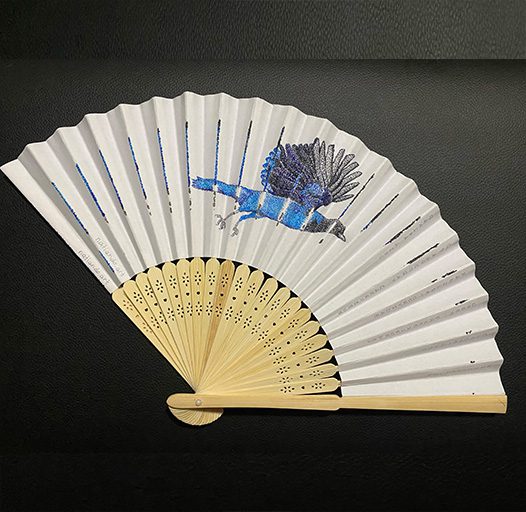 Fan Gralha Azul 2