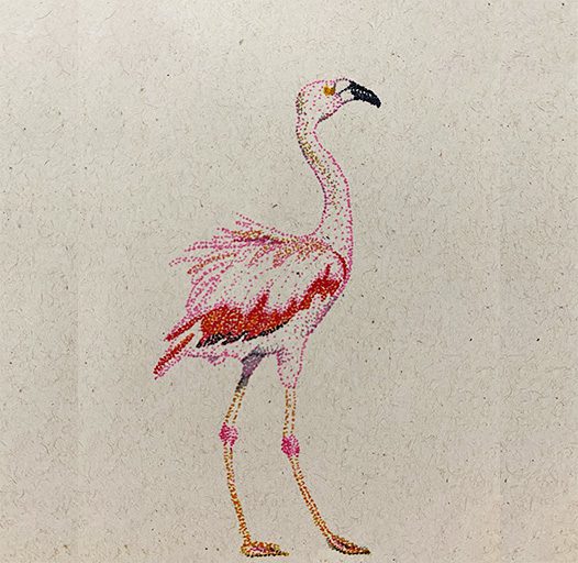 Flamingo 1